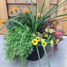 Load image into Gallery viewer, Fall Planter Workshop- September 14th @6pm