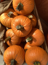 Load image into Gallery viewer, Pumpkin Decorating Bar- October 3rd, 2026 ALL DAY!
