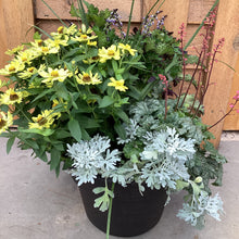 Load image into Gallery viewer, Fall Planter Workshop- September 14th @6pm
