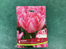 Load image into Gallery viewer, Double Early Tulip “Foxtrot”

