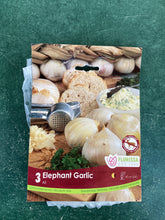 Load image into Gallery viewer, Elephant Garlic
