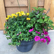 Load image into Gallery viewer, Fall Planter Workshop- September 14th @6pm
