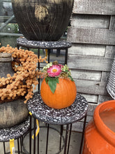 Load image into Gallery viewer, Pumpkin Decorating Bar- October 3rd, 2026 ALL DAY!
