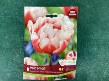Load image into Gallery viewer, Double Early Tulip “Voicemail”
