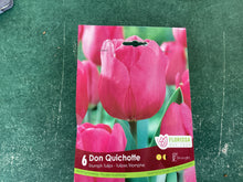 Load image into Gallery viewer, Triumph Tulips Don Quichotte
