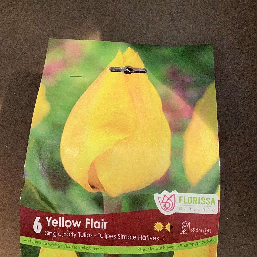 Tulip-Yellow Flair