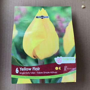 Tulip Yellow Flair
