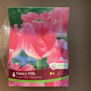 Tulips-Fancy Frills