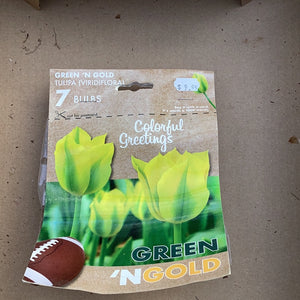 Tulip- Green n gold