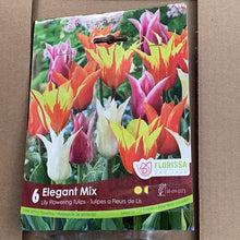 Load image into Gallery viewer, Lily Flowering Tulip-Elegant Mix
