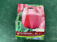 Load image into Gallery viewer, Darwin Hybrid Tulip- Pink Impression
