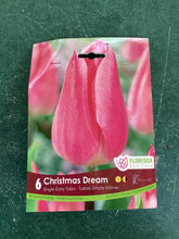 Load image into Gallery viewer, Single Early Tulip Christmas Dream
