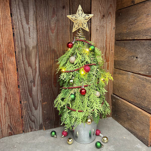 Tabletop Tree Workshop-Tuesday December 2nd@ 6pm