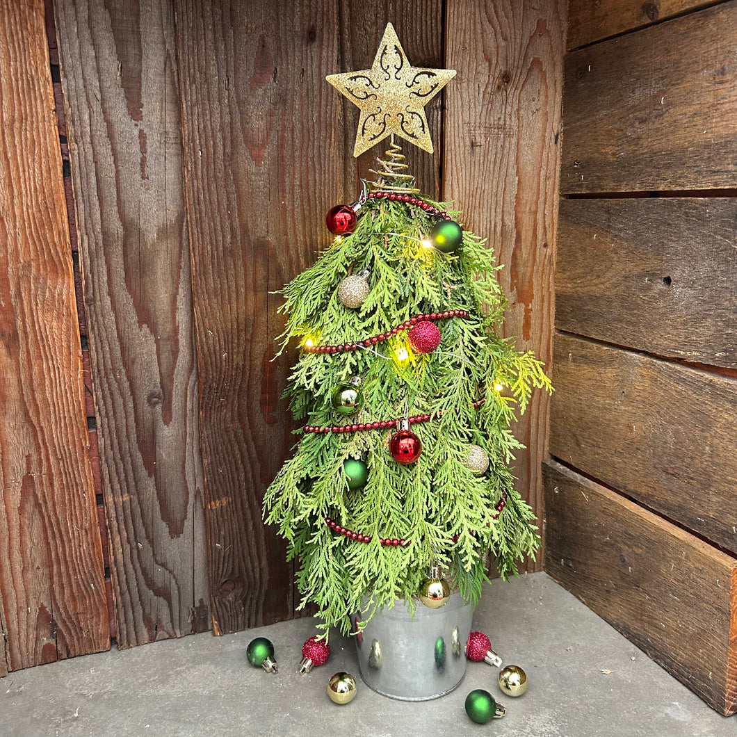 Tabletop Tree Workshop-Tuesday December 2nd@ 6pm
