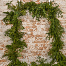 Load image into Gallery viewer, 25&#39; Garland
