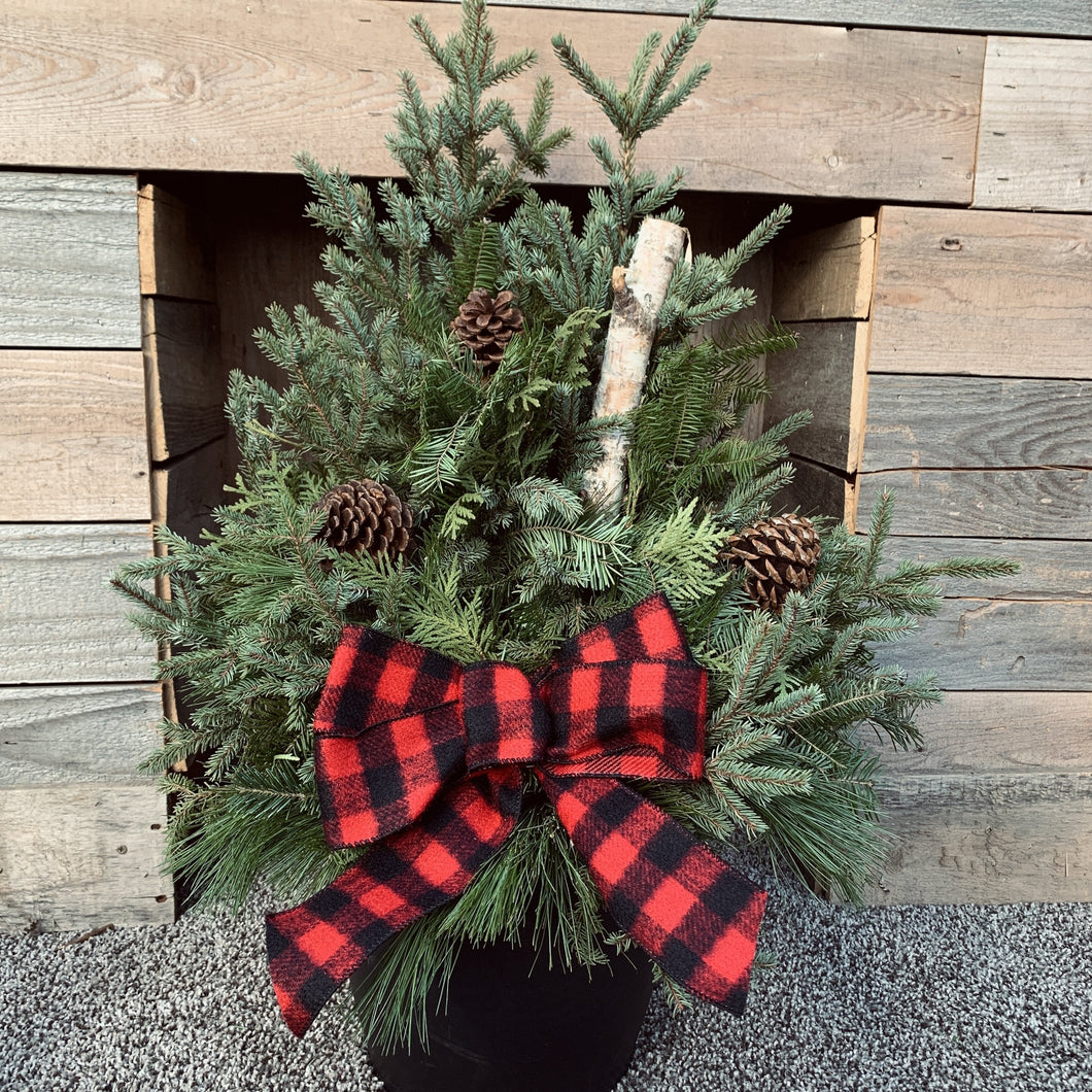 Spruce Tip Workshops- Sunday November 9th@ 1:00pm