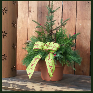 Kids Spruce Tip Workshop-Saturday November 30th@ 2pm