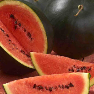 Ferry Morse-Watermelon, Sugar Baby Organic