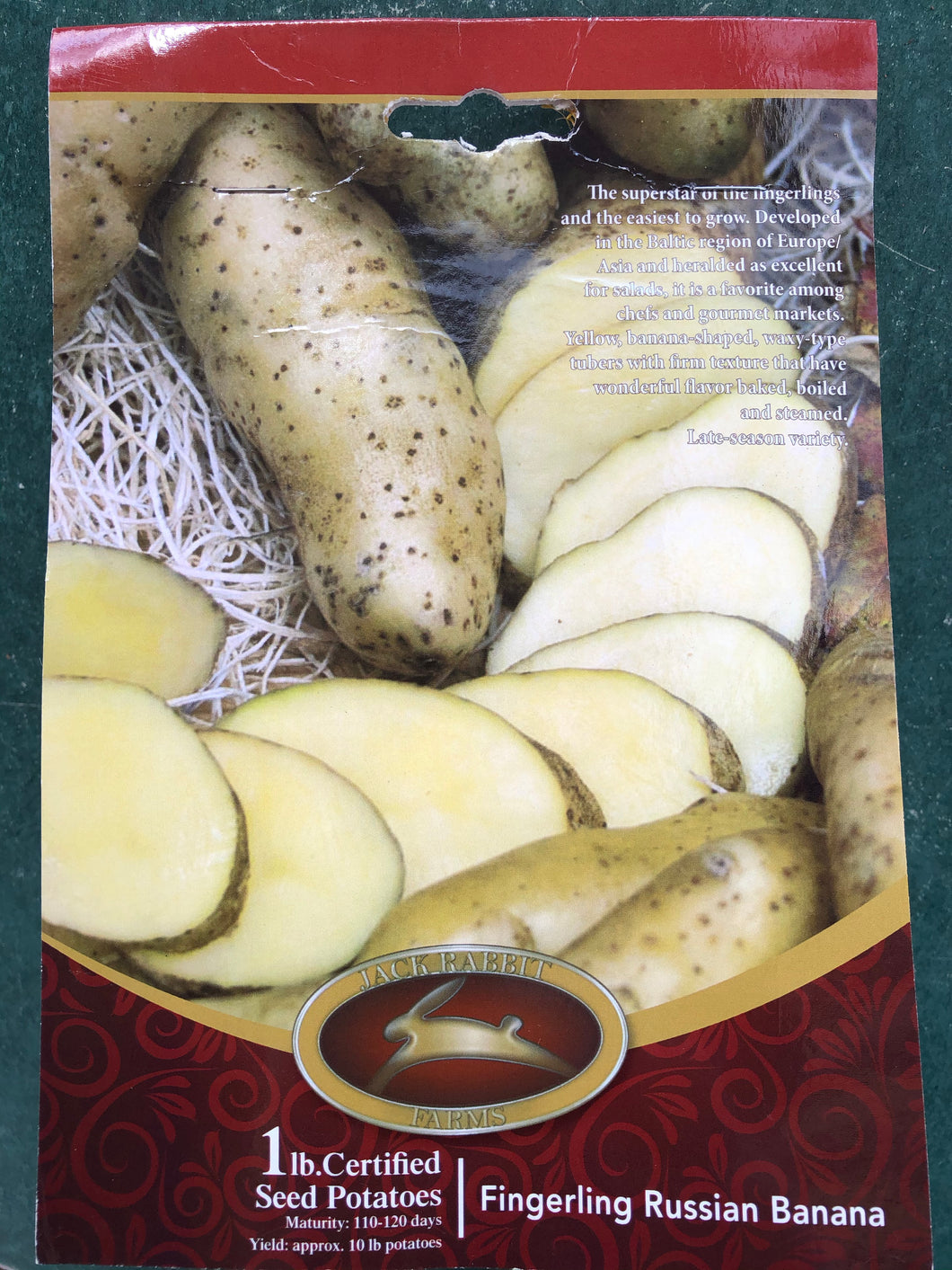 Fingerling Russian Banana 1# Bag