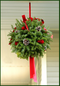 Kissing Ball Workshop-Saturday December 13th@ 11:00am